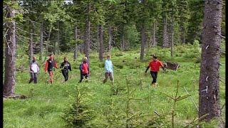 #wtf Nordic Walking  Invasion Troop ‍️‍️‍️‍️‍️‍️ - Don`t Wanna be (Shut up and run)