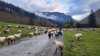 DOLINA KOŚCIELISKA jesień w górach TATRY wąwóz kraków SMOCZA JAMA na podróżach z dziećmi