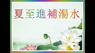 夏至 21.6.2025 進補療效特強！13個葷素湯水視頻！為您推薦 , 切勿錯過！（有字 幕）