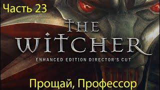 Прохождение The Witcher Enhanced Edition - часть 23: Прощай, Профессор