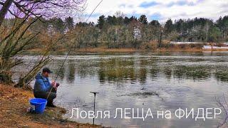 Весенняя ловля ЛЕЩА на ФИДЕР / Река Неман / Рыбалка в Беларуси