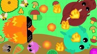 MOPE.IO ФЕНИКС В ДЕЙСТВИИ ИГРА MOPE IO