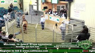 Bowie Texas Livestock November 3rd Open Sale!