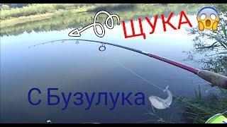 ЩУКА с Бузулука.  р. Самара