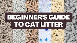 What TYPE of Cat Litter Should You Buy? // Beginner's Guide