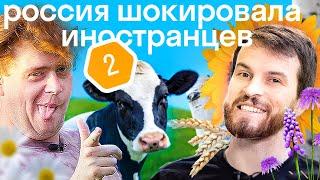 «Я стал русским!» Иностранцы 24 часа в русской деревне: баня, застолье, сельские танцы | ИНТУРИСТЫ#2