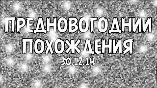 Предновогоднии похождения || Лось