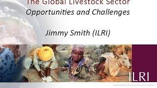 The global livestock sector: Opportunities and challenges