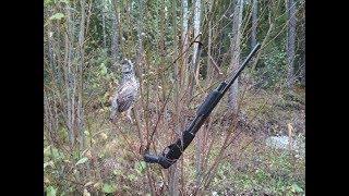 Охота на рябчика с короткой помпой Иж-81М/ hunting of hazel grouse