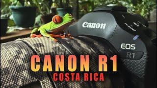 Canon R1 - Wildlife Video First Look - Costa Rica Rainforest