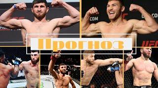 UFC 252. Анкалаев - Куцелаба. Прогноз. Аналитика.