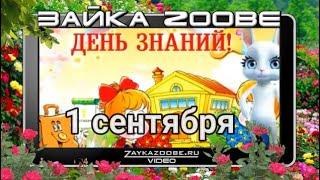 Зайка Zoobe 1 сентября День Знаний