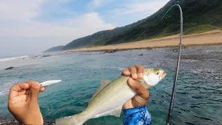 SHAD IS BACK!!! Action Packed Session!! Fishing the South Coast. KZN Durban