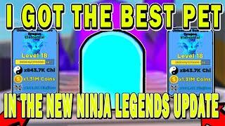  Ninja Legends New Christmas Update  I GOT THE BEST PET SUB ZERO DRAGON