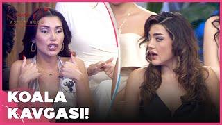 Aynur ile Buse Arasında Koala Kavgası!  | Kısmetse Olur: Aşkın Gücü 2. Sezon 49. Bölüm