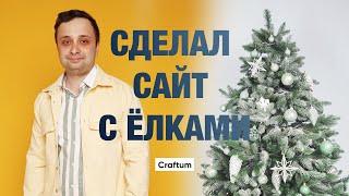 Сделал сайт с нуля на Craftum для Ёлковорота