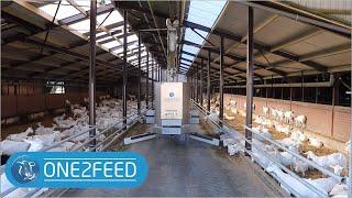 One2feed - Double Feed pusher Goats - Automatic feeding