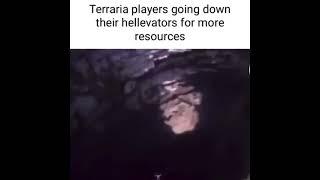 Terraria players hellevator meme