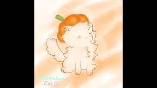 Pumkin cat
