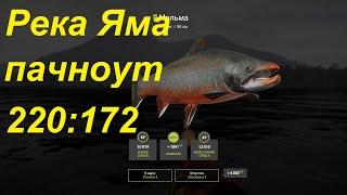 Река яма после патча.  Рыбка ловится! Русская рыбалка 4