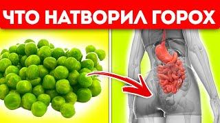 Что вытворяет горох с нашим организмом? Польза и вред гороха