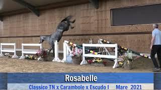 Rosabelle (jumping)
