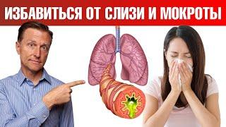 Лучшее средство от мокроты в домашних условиях