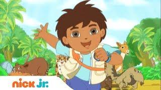 Go Diego Go I Offizielles Titelsong Musik Video  I Nick Jr. auf Deutsch