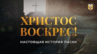 Христос Воскрес! Настоящая история Пасхи. Современный перевод Библии #biblevision