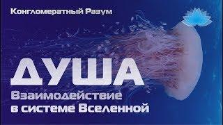 Софоос. Ченнелинг. Конгломератный Разум "Душа. Взаимодействие в системе Вселенной".