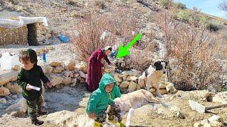 Mahbouba's battle after being displaced in a cave without facilities or support