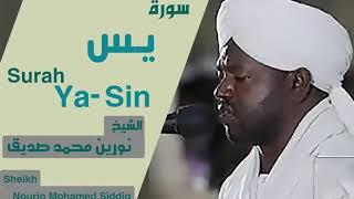 Surah Yasin || Heart Touching || Sheikh Noreen Muhammad Siddique