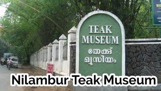 Teak Museum Nilambur | നിലമ്പൂർ തേക്ക് മ്യൂസിയം