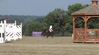 Millbrook H.T. 2012