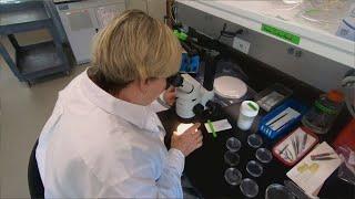 MDI Biological Laboratory gets $19.4 million in federal funds for research