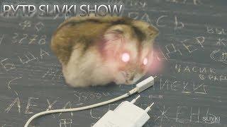 SlivkiShow | RYTP  МЫШКА ДЛЯ ТЮPЬМЫ :)