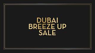 Goffs Dubai Breeze Up Sale 2023