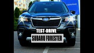 Обзор Subaru Forester 2019: подбор шин и дисков на авто