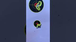 RWS Rifle Match vs Lapua CenterX   #targettraining #22longrifle