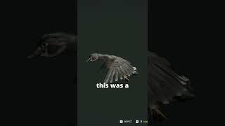 The NEW Wood Ducks look CRAZY  | theHunter: Call of the Wild