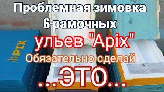 Проблемная зимовка в 6-рамочных ППС ульях"Apix".