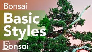 The Basic Bonsai Styles inspired by Nature - Make More Bonsai