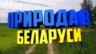 Природа в Беларуси! Ловля рыбы!