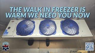 THE WALK IN FREEZER IS WARM WE NEED YOU NOW