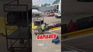 BRUTAL REALITY of Baggage Handling #shorts #trending