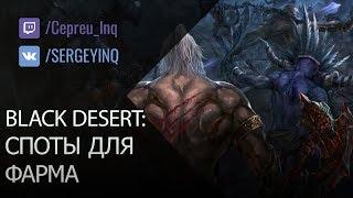 Black Desert: Где фармить? (в описании ссылка на новый гайд)