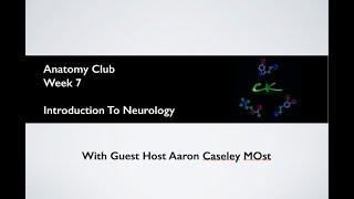 Anatomy Club - Neurology