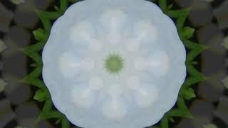 Flower kaleidoscope with Guitar music callotchrissy 3 inch Brick Wall