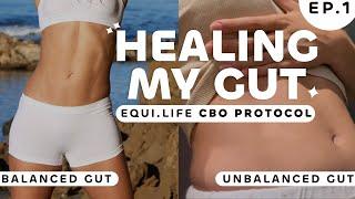 STARTING MY GUT HEALING JOURNEY | Lab Tests, Food List + My Equi.Life Protocol, Dr. Stephen Cabral