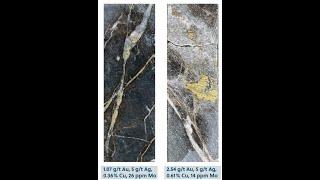 Collective Mining Makes Porphyry Discovery At San Antonio Project, Interview With CEO Ari Sussman
